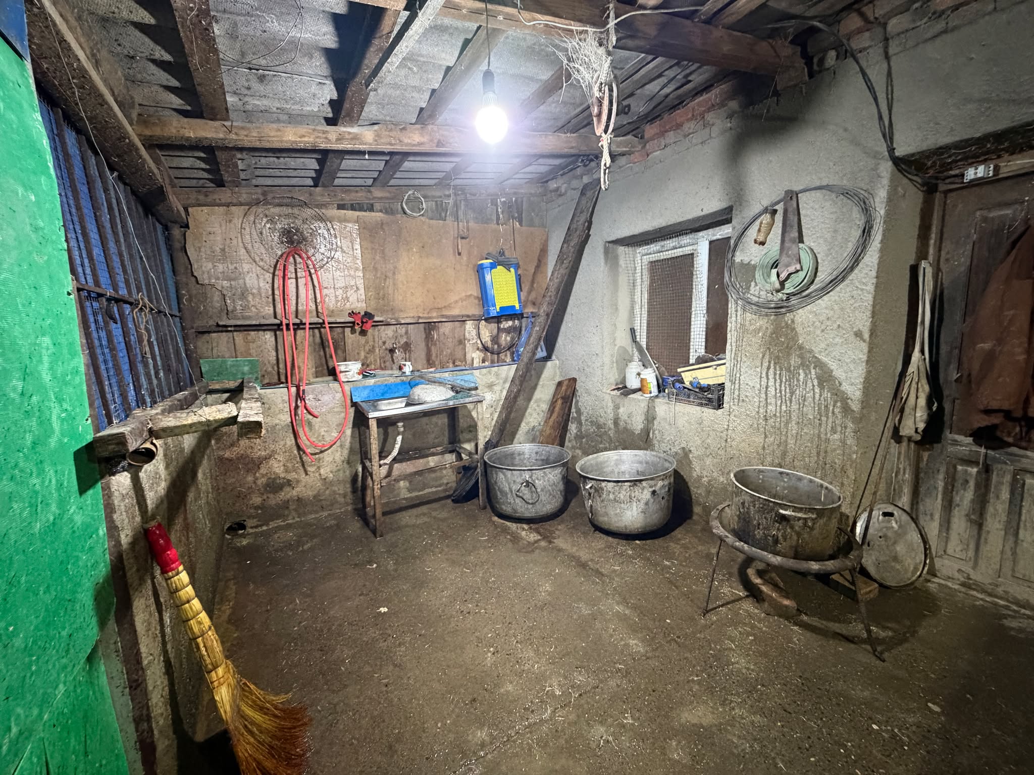 Illegal bird slaughterhouses were discovered in Imereti