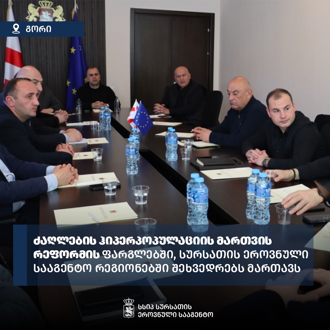 Dog overpopulation management reform discussed in Shida Kartli
