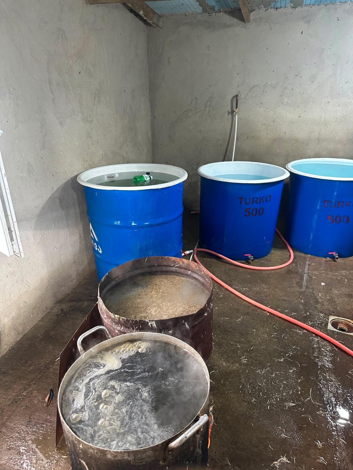 The National Food Agency Uncovered an Illegal Poultry Slaughterhouse in Kareli