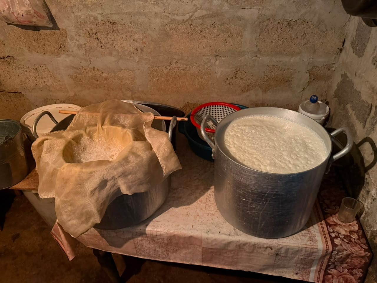National Food Agency Uncovers Illegal Cheese Production Facility in Terjola