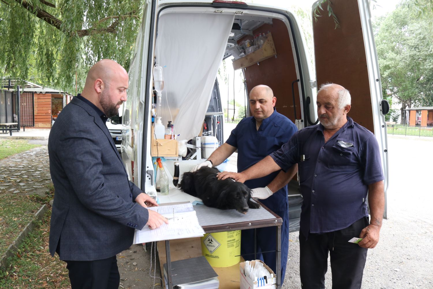 Free Sterilization and Microchipping Available for Owned Dogs in the Regions