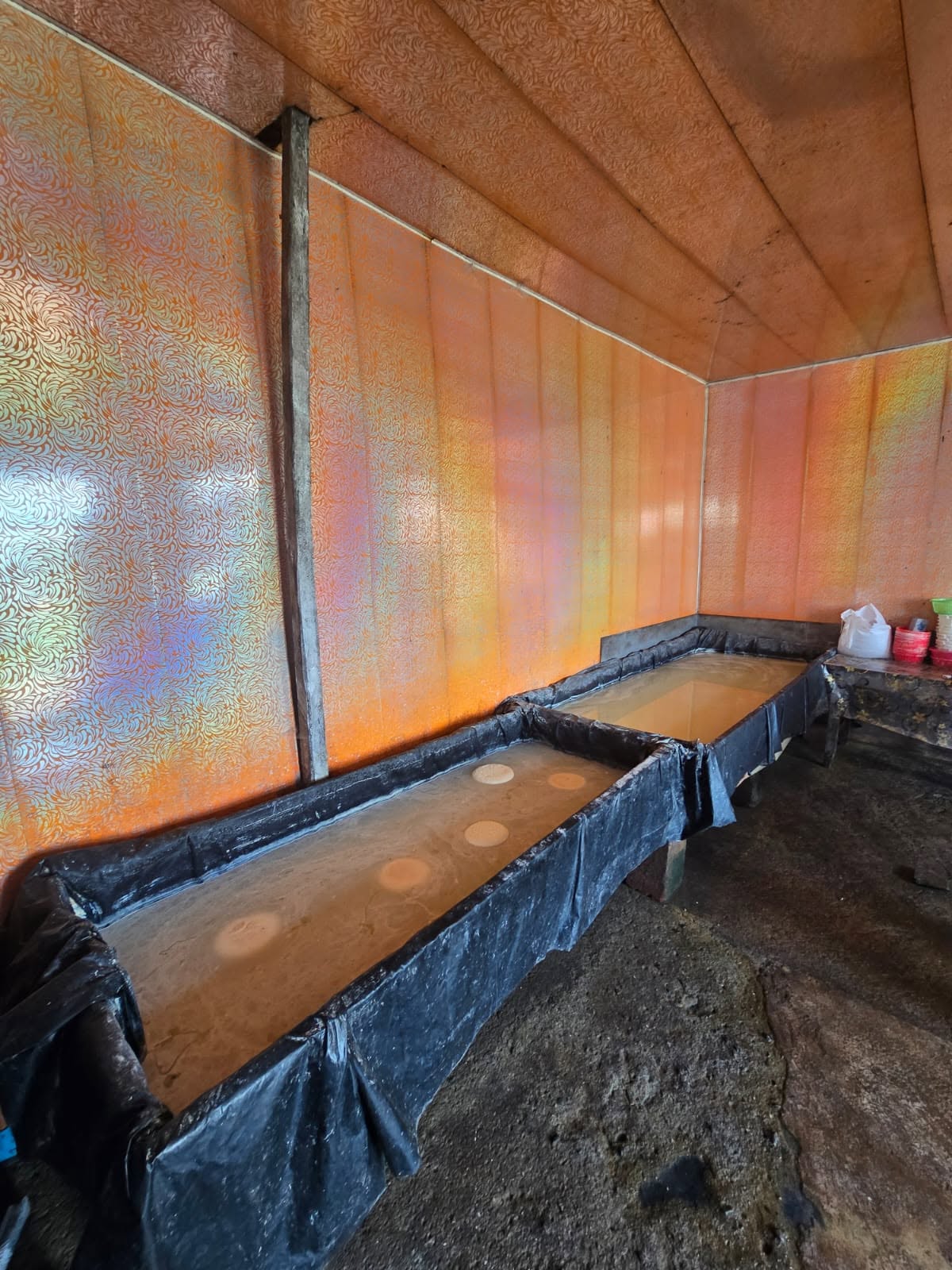 National Food Agency Identifies an Unregistered Raw Milk Processing Facility in Tsalka