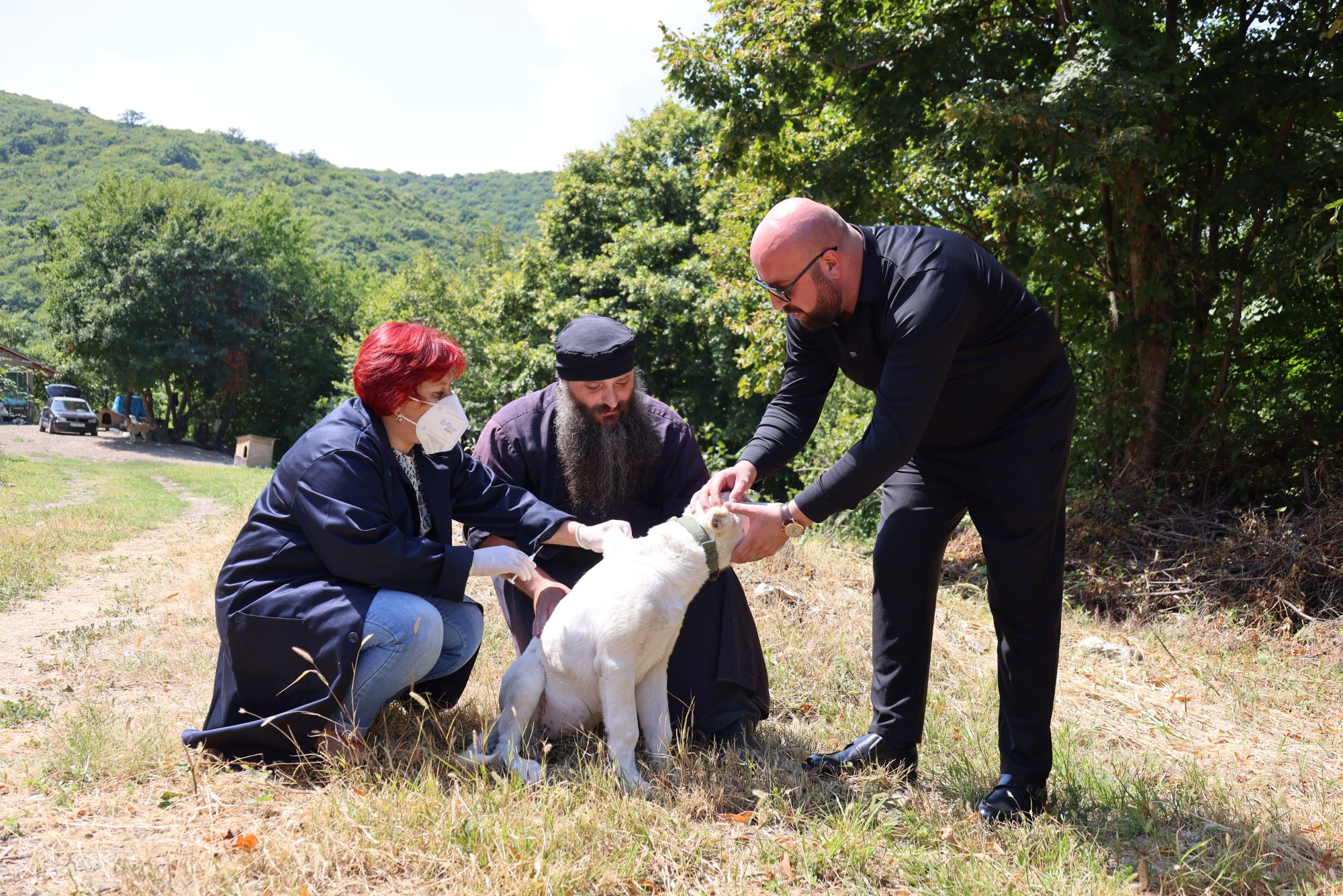 Free microchipping and vaccination of owned dogs has begun in the regions, using a door-to-door approach
