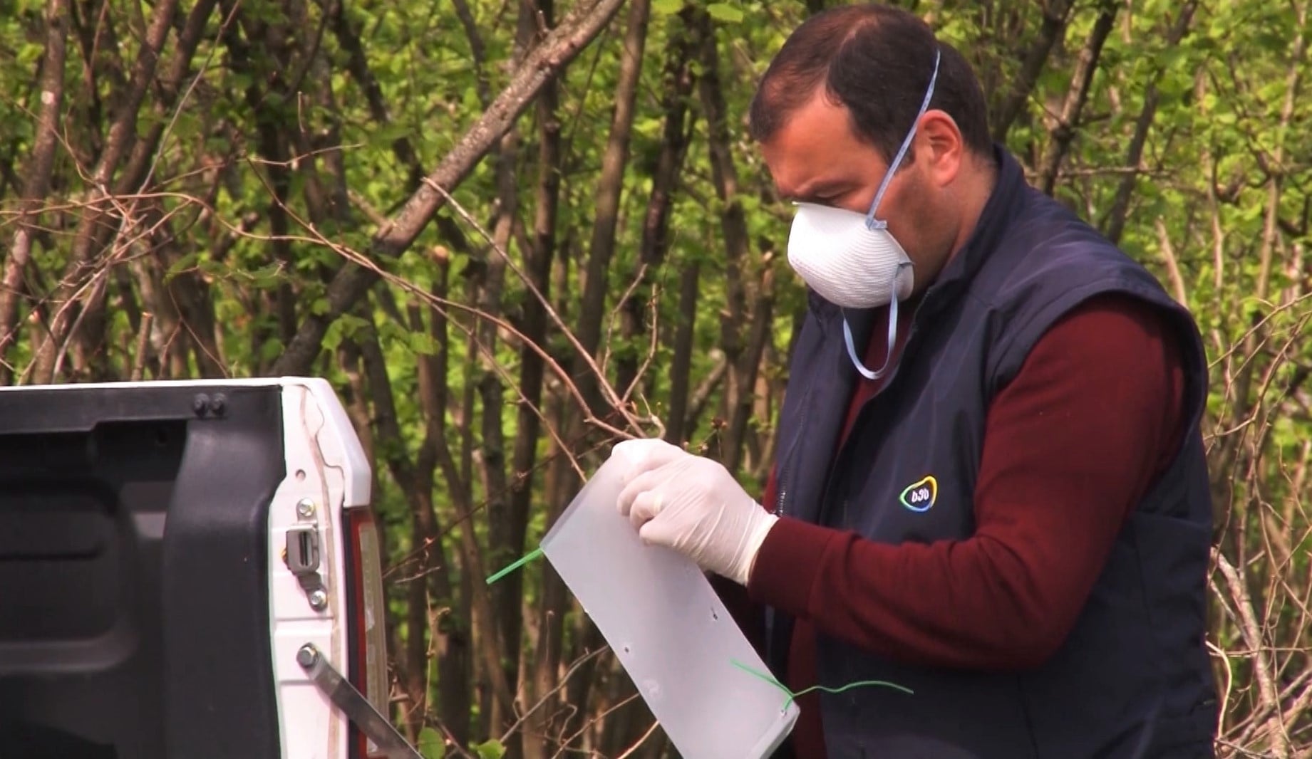 BMSB monitoring systems are being installed in western Georgia