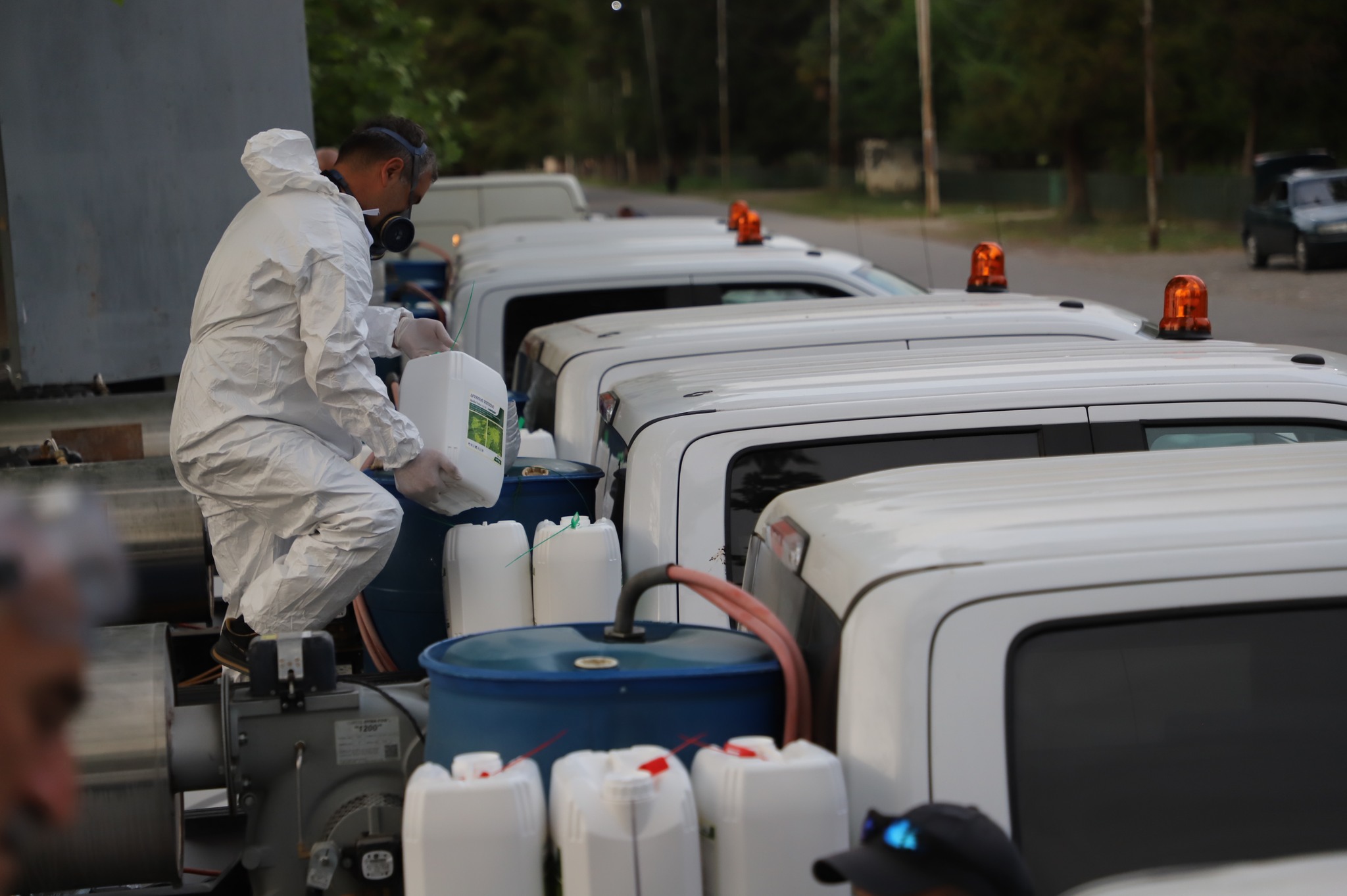 Thermal fog treatment started in Zugdidi municipality against BMSB