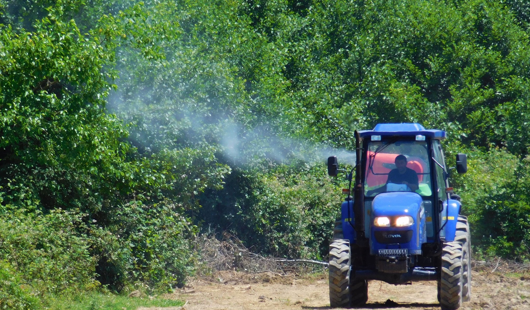Cold spraying of forest boundaries against BMSB was held in Samegrelo region