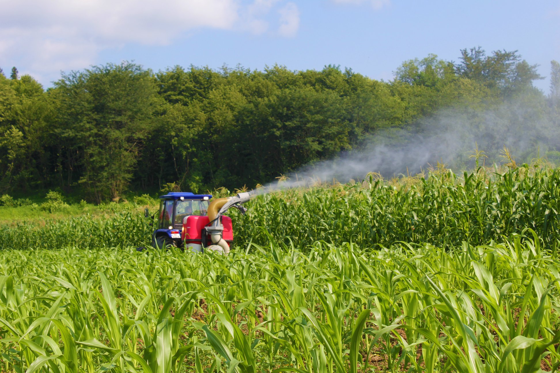 As part of the measures against BMSB, the areas surrounding corn fields are treated with cold spraying technology