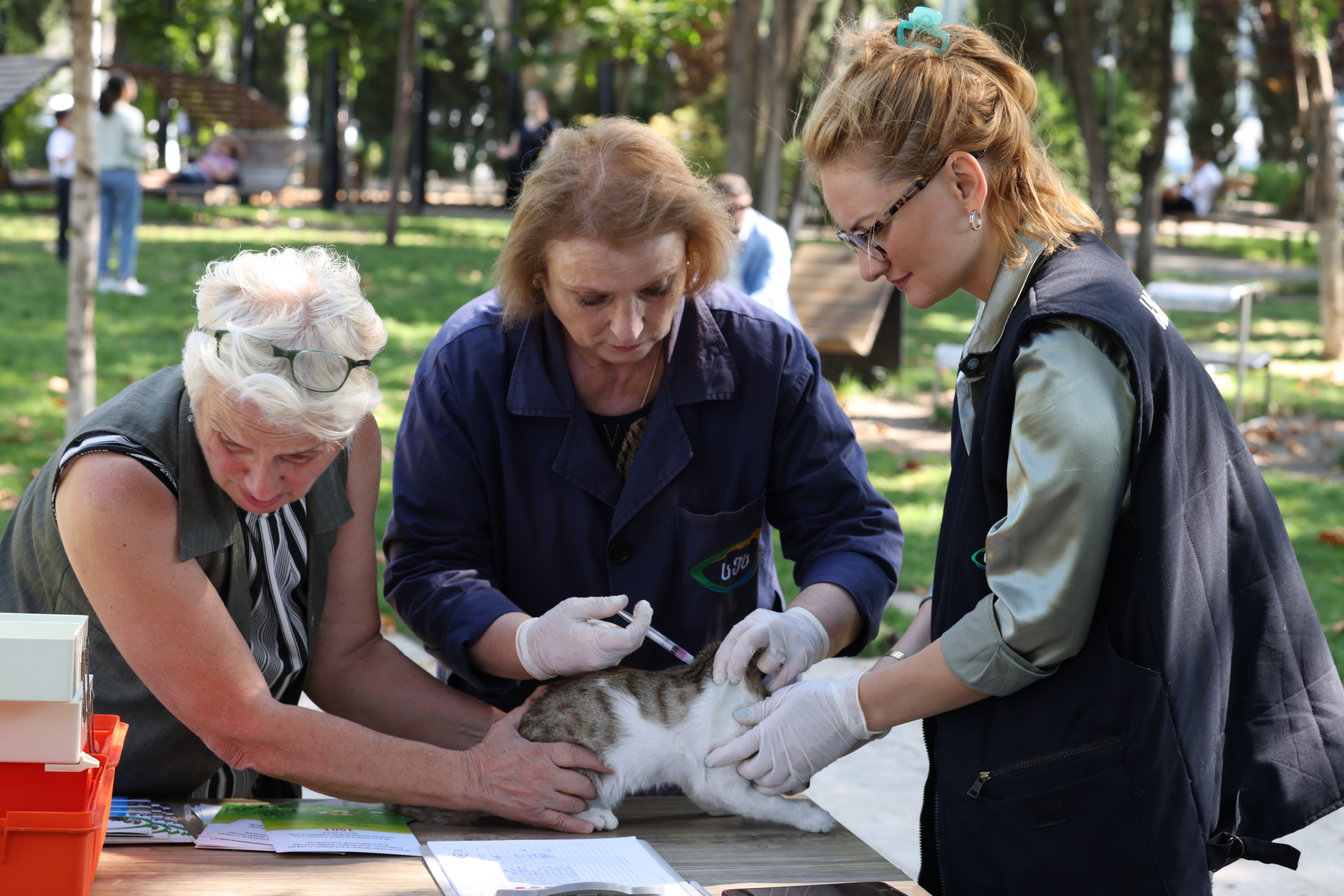 The World Rabies Day has been celebrated with free vaccination in Georgia 