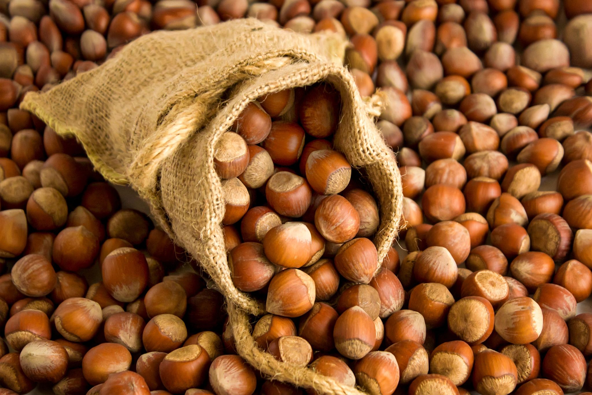 The European Commission positively assessed the state system of aflatoxin control in Georgian nuts