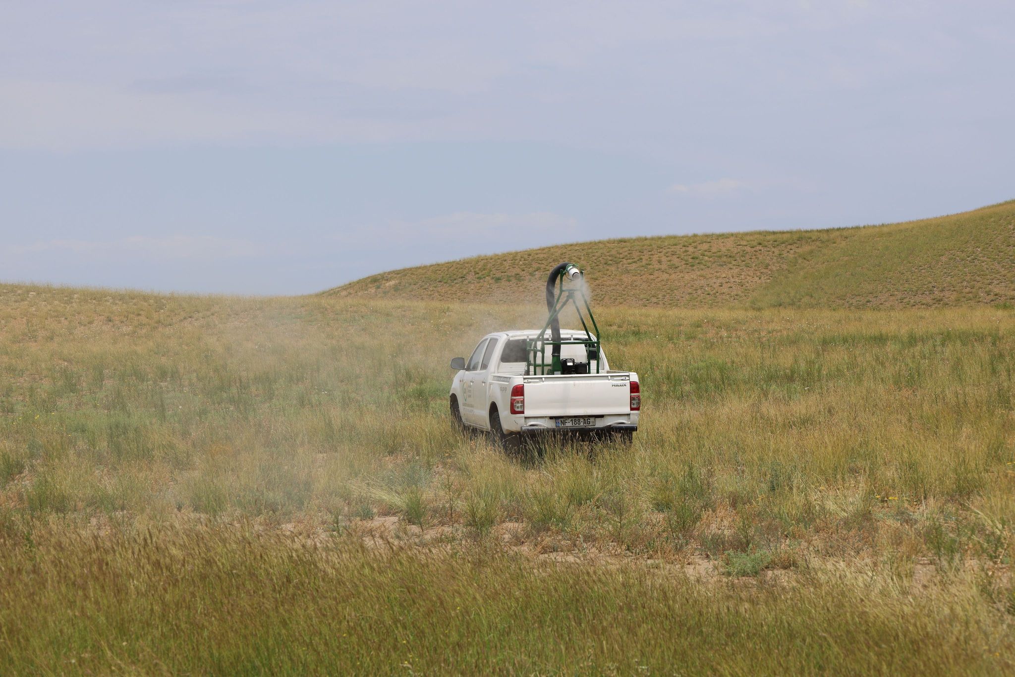 In Eastern Georgia, 12 thousand hectare area is treated against locusts