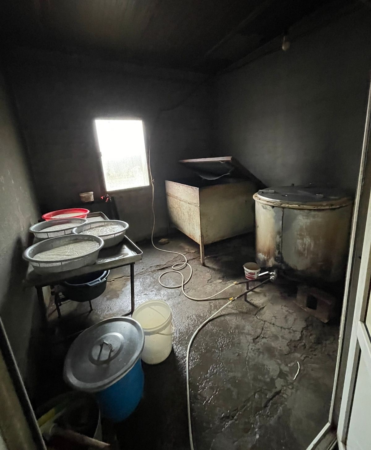 Four illegal cheese factories were discovered in Kvemo Kartli