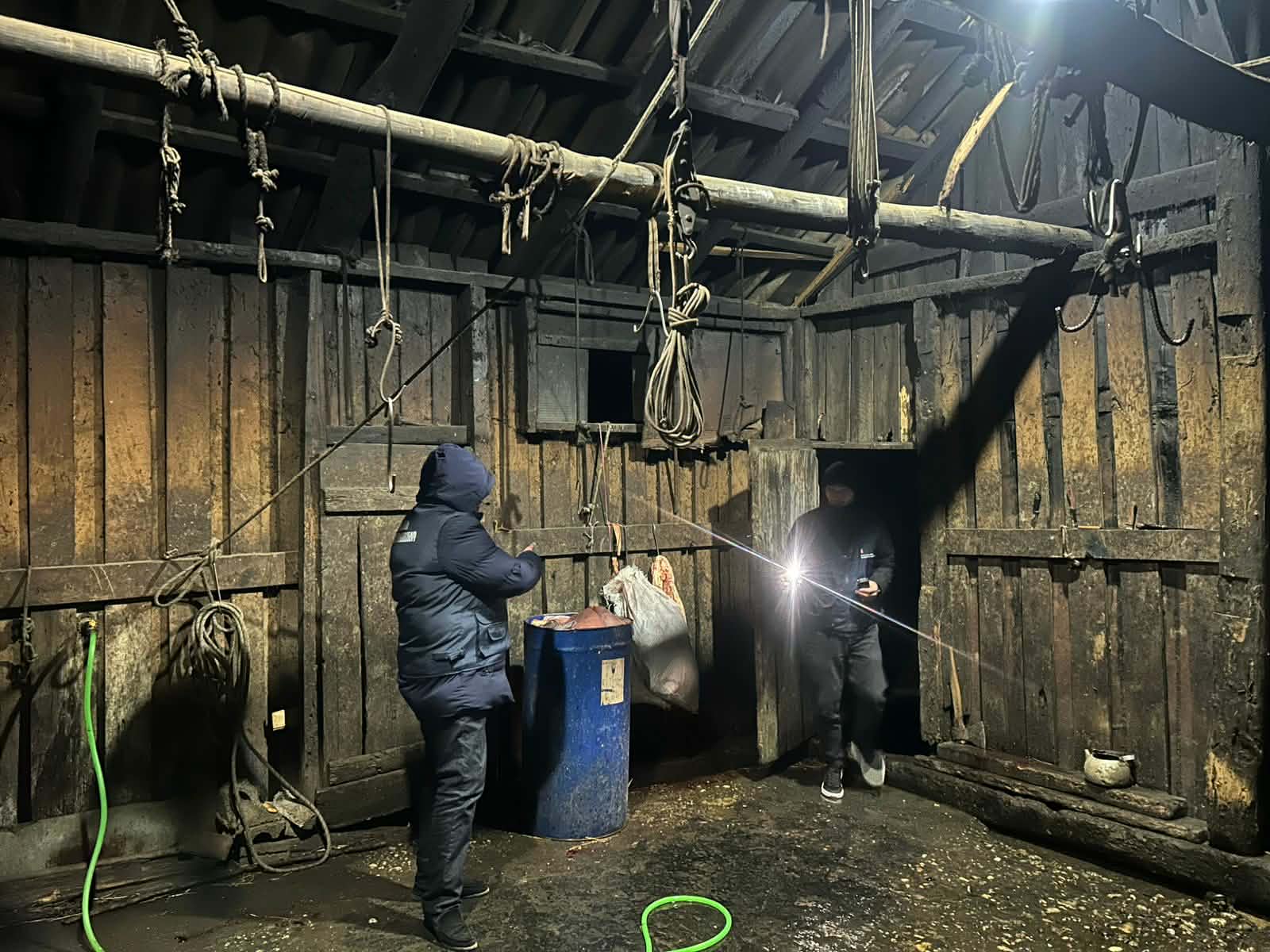 Illegal slaughterhouses were  discovered in Abasha and Samtredia