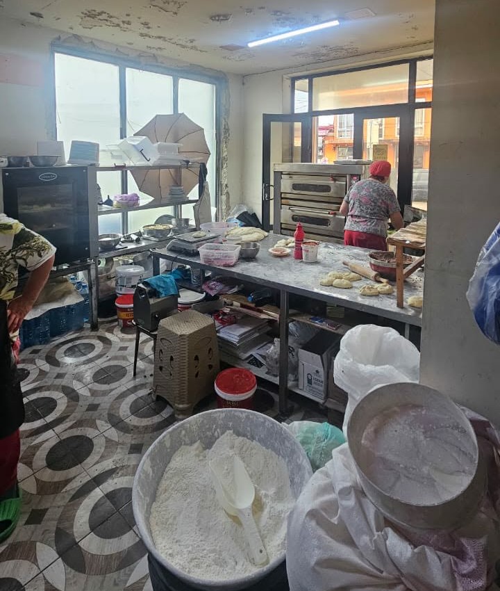 სურსათის ეროვნულმა სააგენტომ სამეგრელოში არალეგალურ კვების ობიექტს საქმიანობა შეუჩერა 