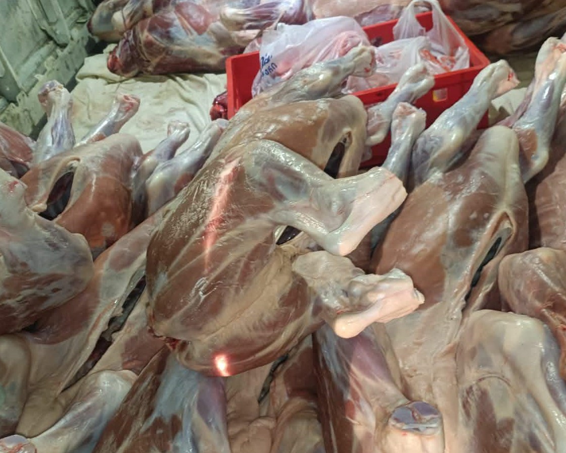 სურსათის ეროვნულმა სააგენტომ მცხეთა-მთიანეთში კუსტარულად მოწყობილი ცხოველთა სასაკლაო გამოავლინა