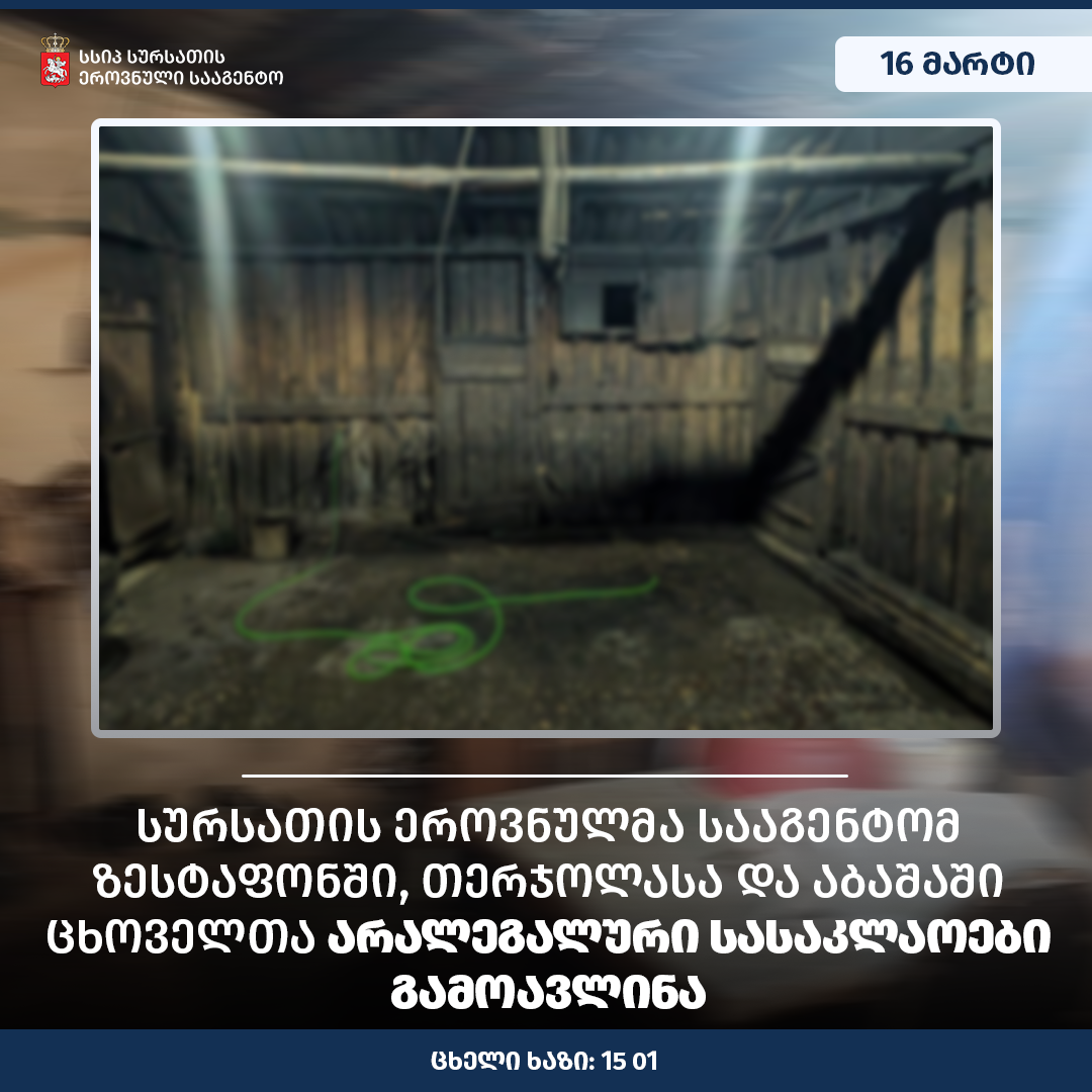 სურსათის ეროვნული სააგენტოს რეგიონულმა დეპარტამენტებმა სამეგრელოს და იმერეთში ცხოველთა არალეგალური სასაკლაოები გამოავლინეს 