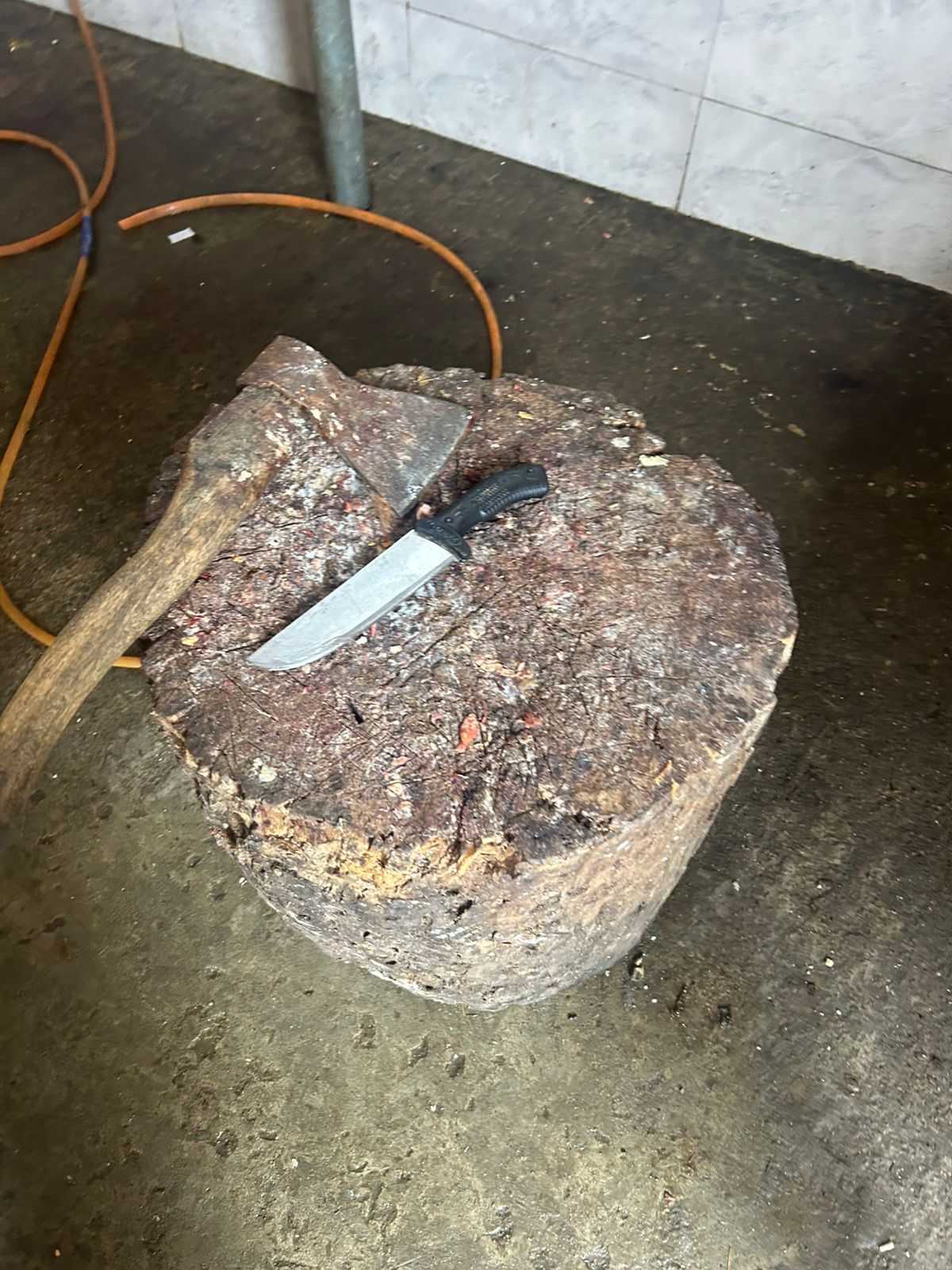 ჩხოროწყუში სასაკლაოს გვერდის ავლით საქონლის დაკვლის ფაქტი გამოვლინდა