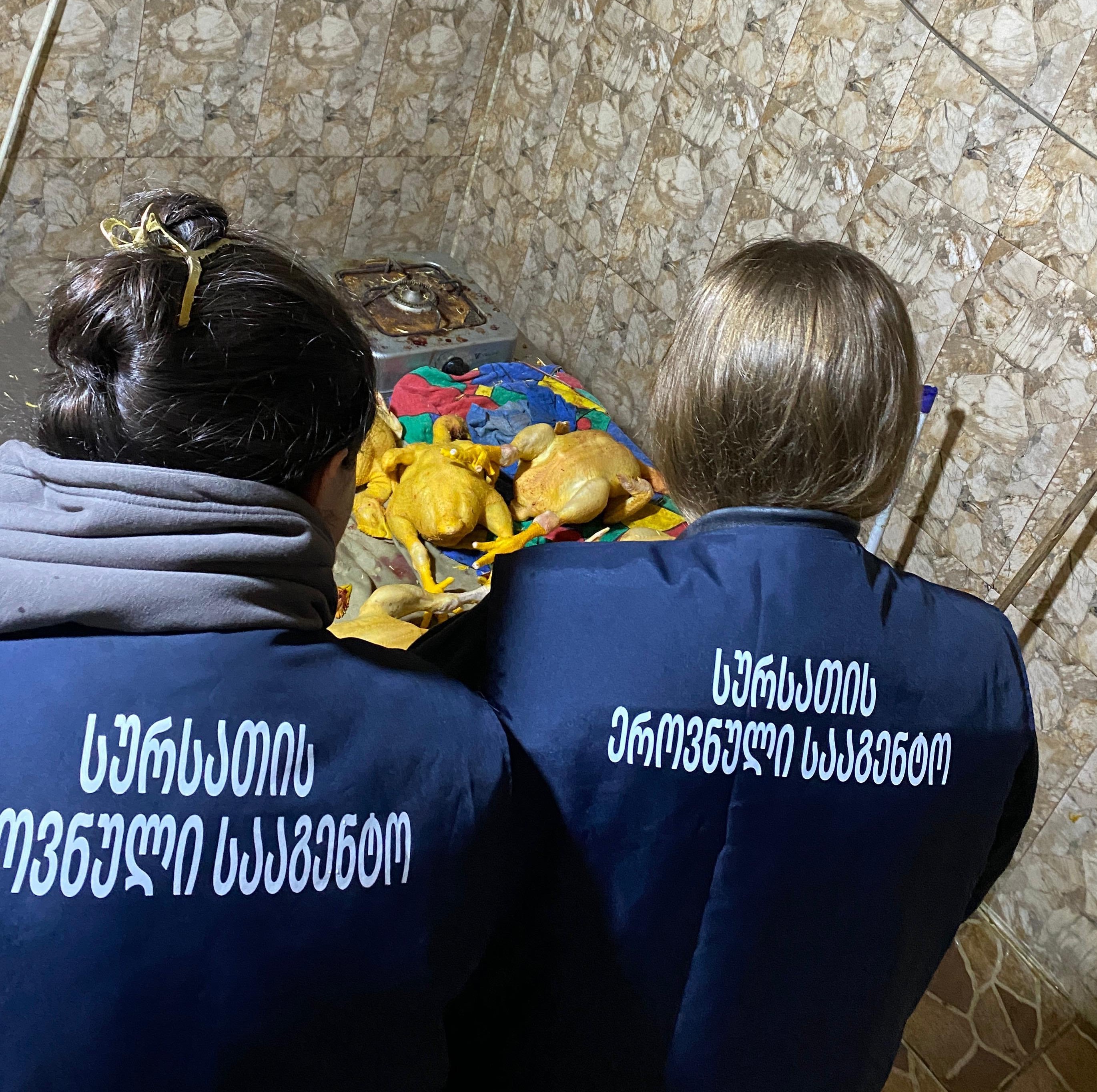 სურსათის ეროვნულმა სააგენტომ აბაშაში, გორში, წყალტუბოსა და გარდაბანში  ფრინველთა არალეგალური სასაკლაოები გამოავლინა