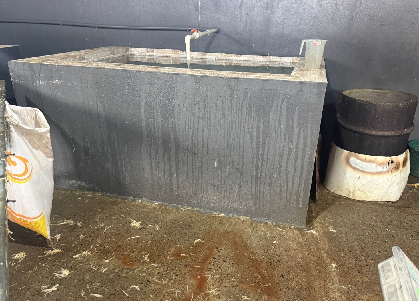 სურსათის ეროვნულმა სააგენტომ გორში ფრინველთა არალეგალური სასაკლაო გამოავლინა