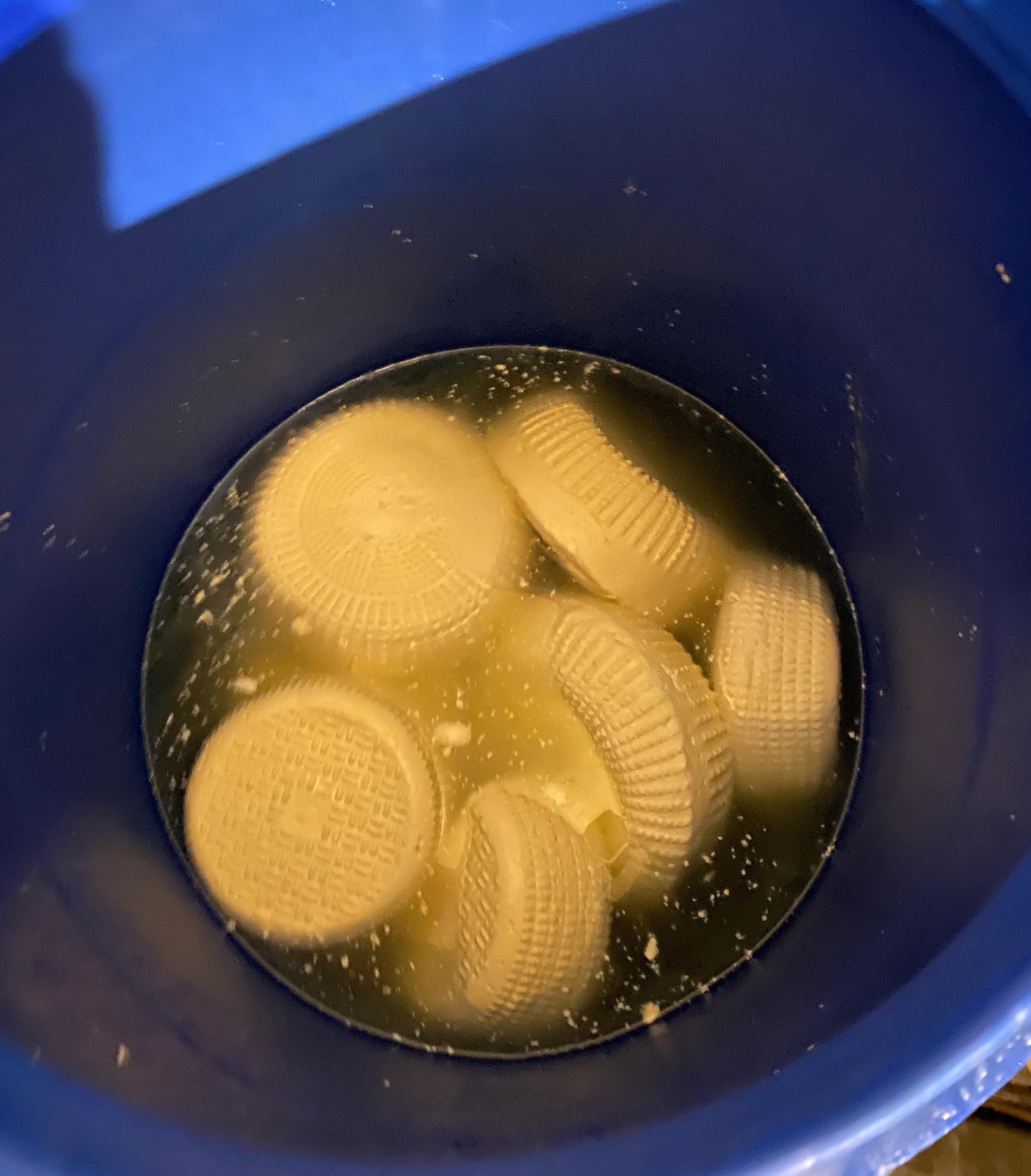 სურსათის ეროვნულმა სააგენტომ ბაღდათში ყველის არალეგალური საწარმო გამოავლინა