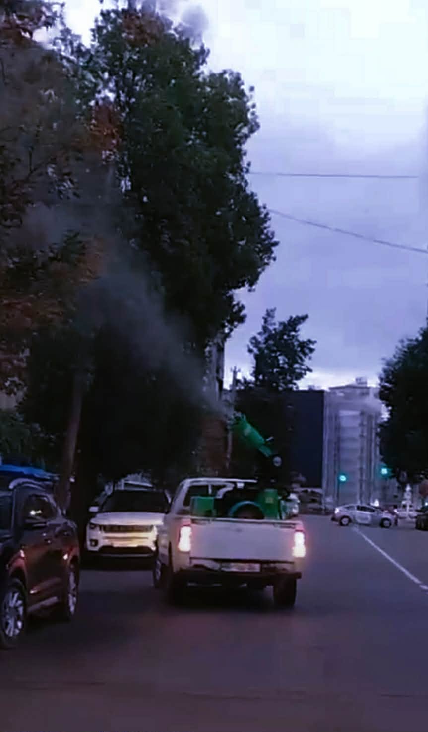 სურსათის ეროვნულმა სააგენტომ ბათუმში ამერიკული თეთრი პეპლის საწინააღმდეგოდ მცენარეები დაამუშავა