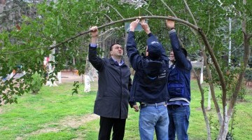 აზიური ფაროსანას მონიტორინგის სისტემები თბილისში დამონტაჟდება