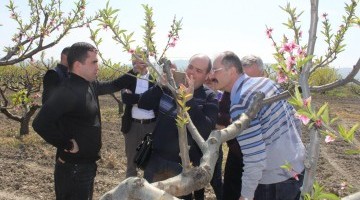 რუსეთის სპეციალისტები აზიური ფაროსანას საწინააღმდეგო ღონისძიებებს გაეცნენ