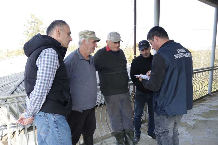 ფაროსანას გავრცელების არეალის დადგენის მიზნით, დასავლეთ საქართველოში  მონიტორინგი დაიწყო