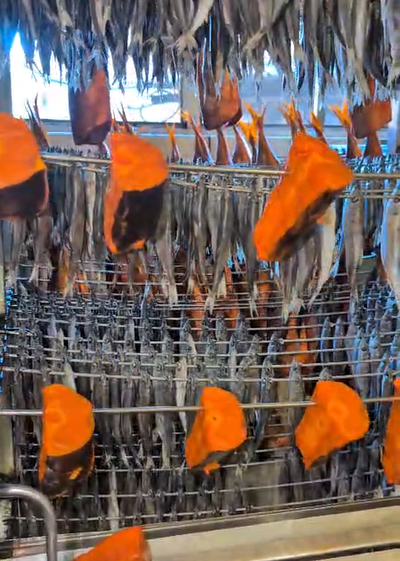 სურსათის ეროვნული სააგენტო თევზის საწარმოებს ამოწმებს