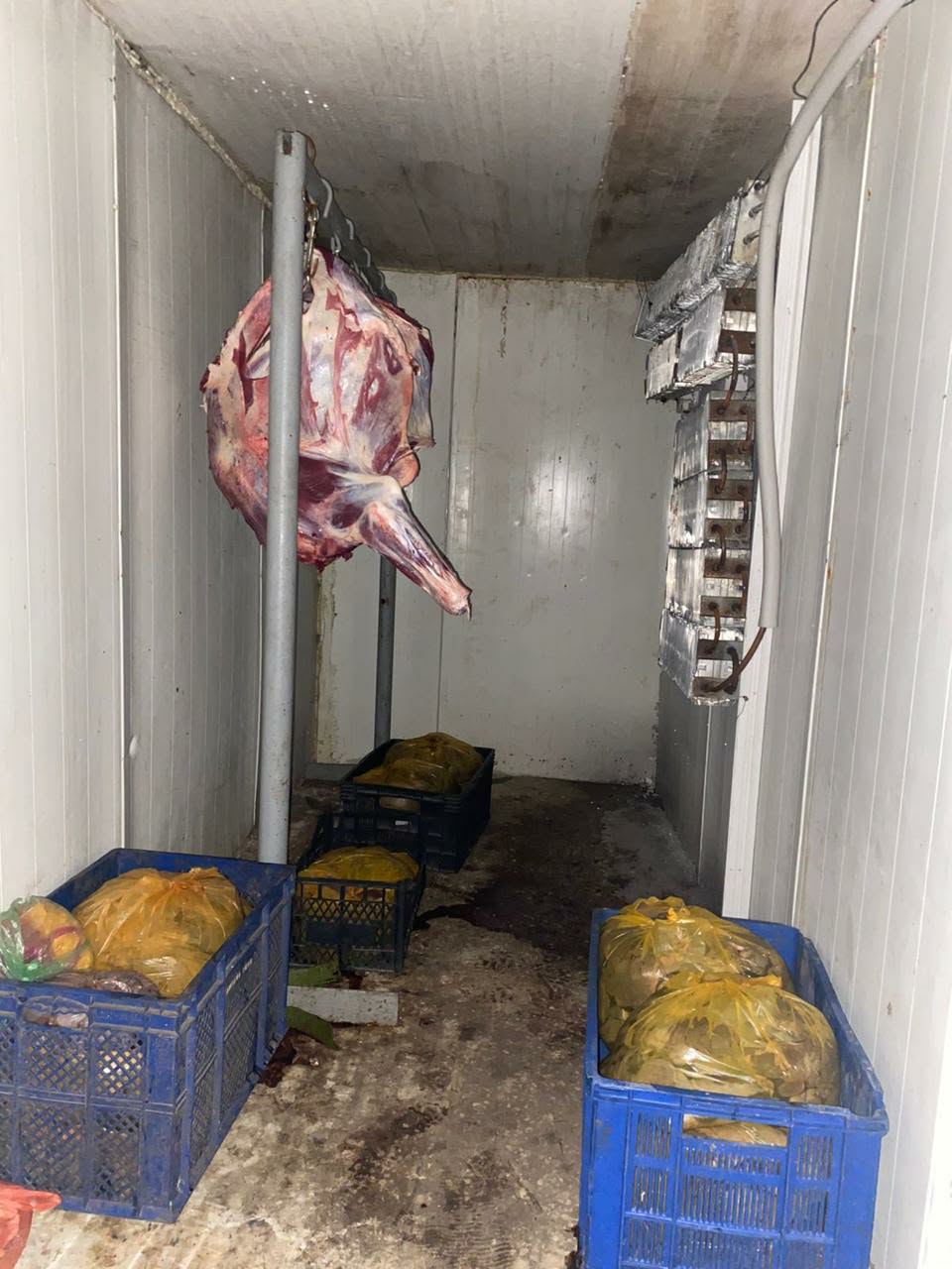 სურსათის ეროვნულმა სააგენტომ თბილისში, ზესტაფონსა და ვანში არალეგალური სასაკლაოები გამოავლინა