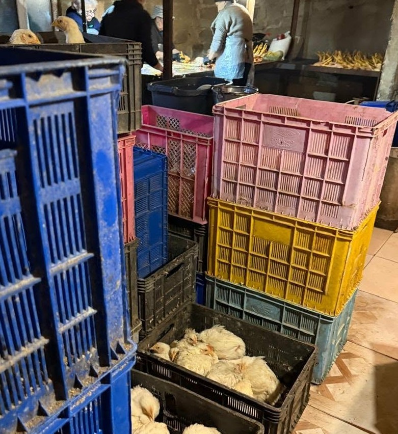 ფრინველთა არალეგალური სასაკლაო იმერეთში