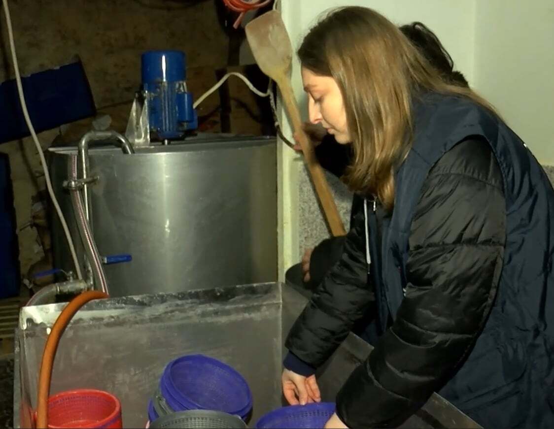 სურსათის ეროვნულმა სააგენტომ  ქუთაისში ,,ყველის“ კუსტარული საწარმო გამოავლინა