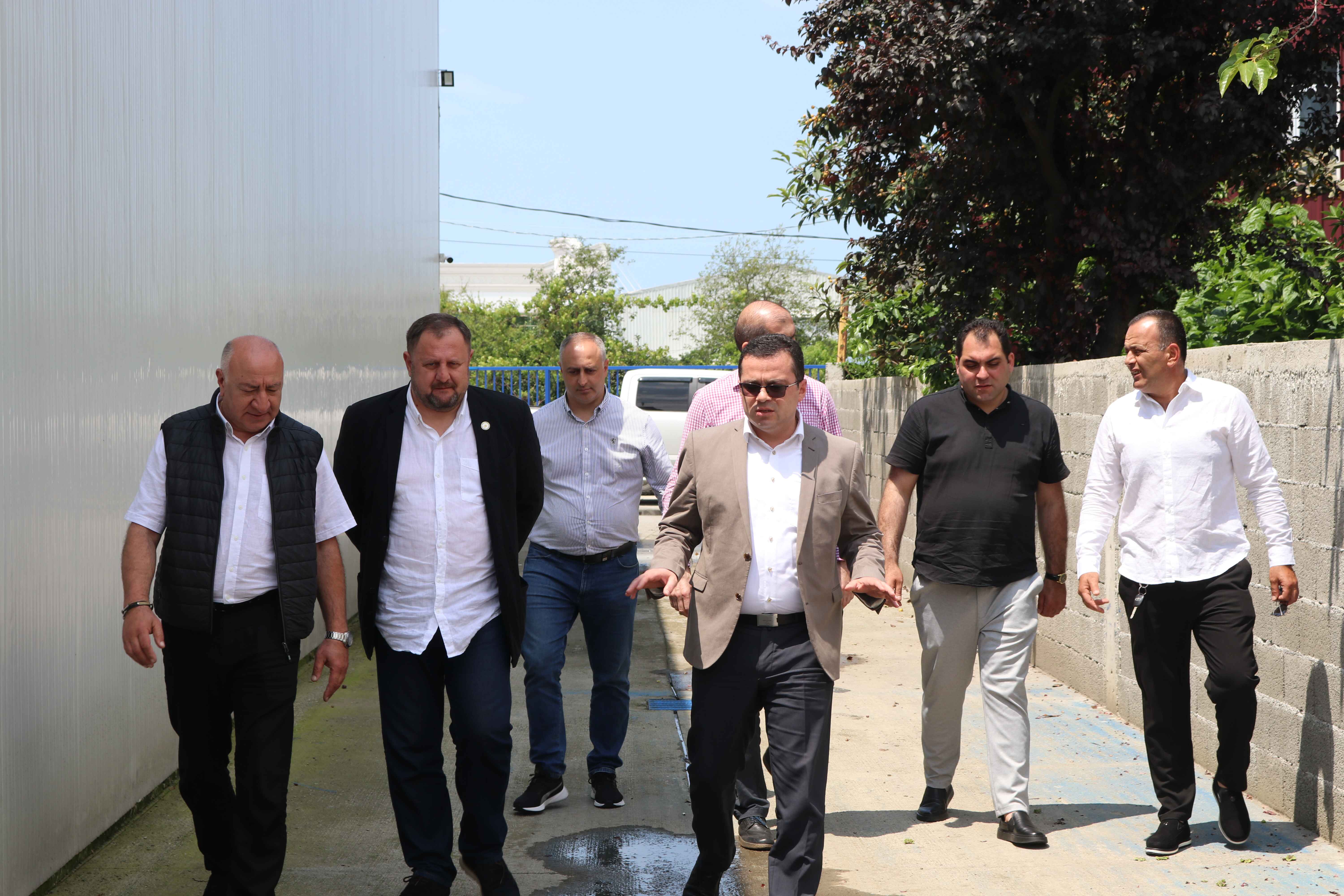 დასავლეთ საქართველოს ყველა რეგიონის მსგავსად, აზიურ ფაროსანასთან ბრძოლის ღონისძიებები აჭარაშიც აქტიურად მიმდინარეობს 