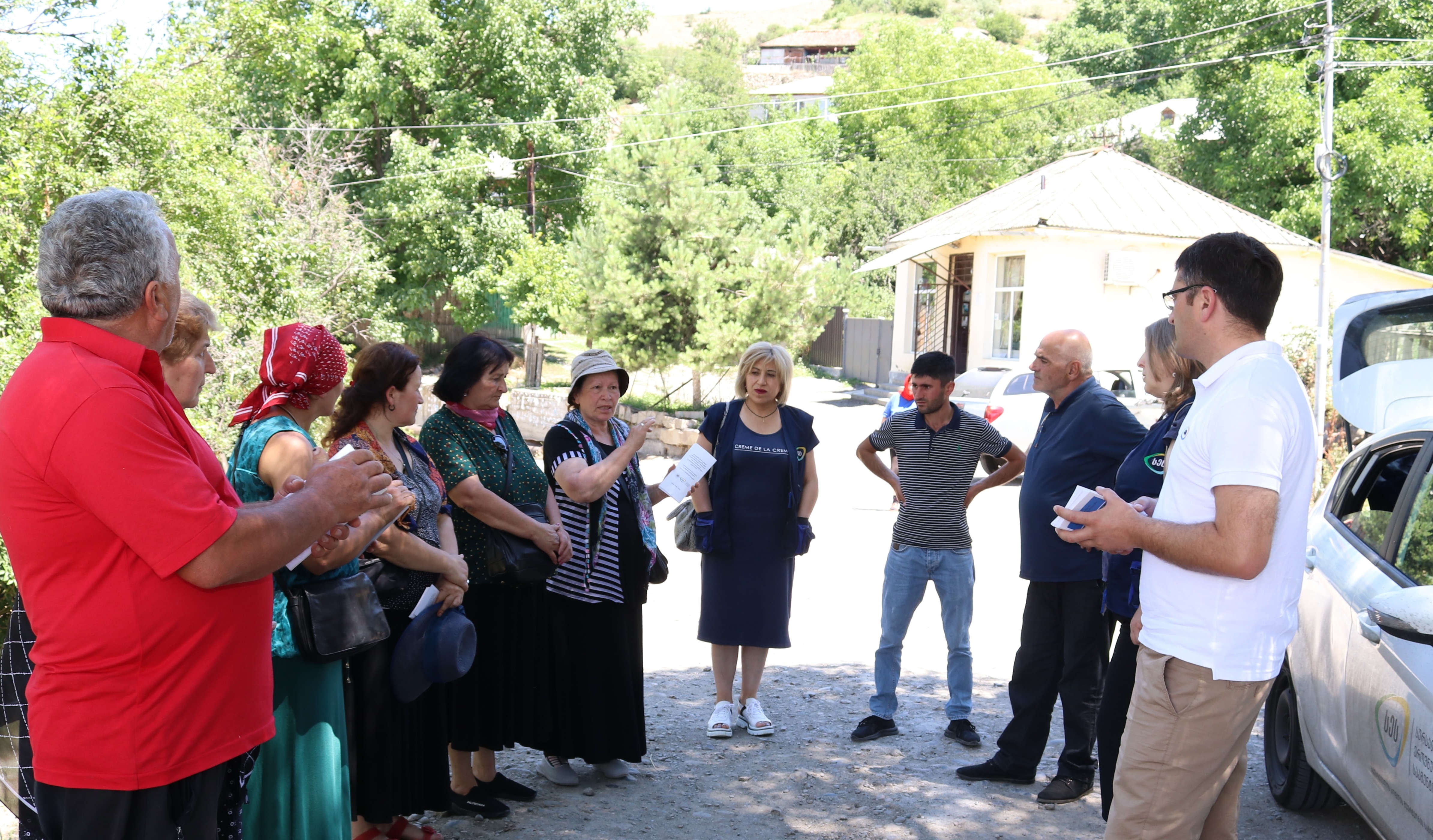 სეს მოუწოდებს ფერმერებს ტკიპების საწინააღმდეგოდ პირუტყვი შესაბამისი პრეპარატებით დაამუშაონ